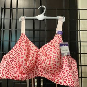 Catherine’s Bra Size 50D